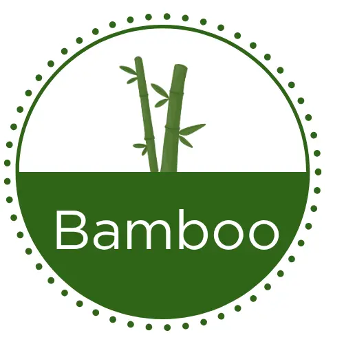 Bamboo