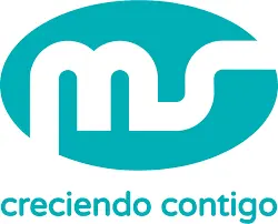 MS innovaciones