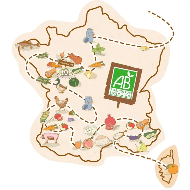 Babybio Pomme De Nouvelle-Aquitaine Abricot d'Occitanie Céréale Petits pots 2x130g