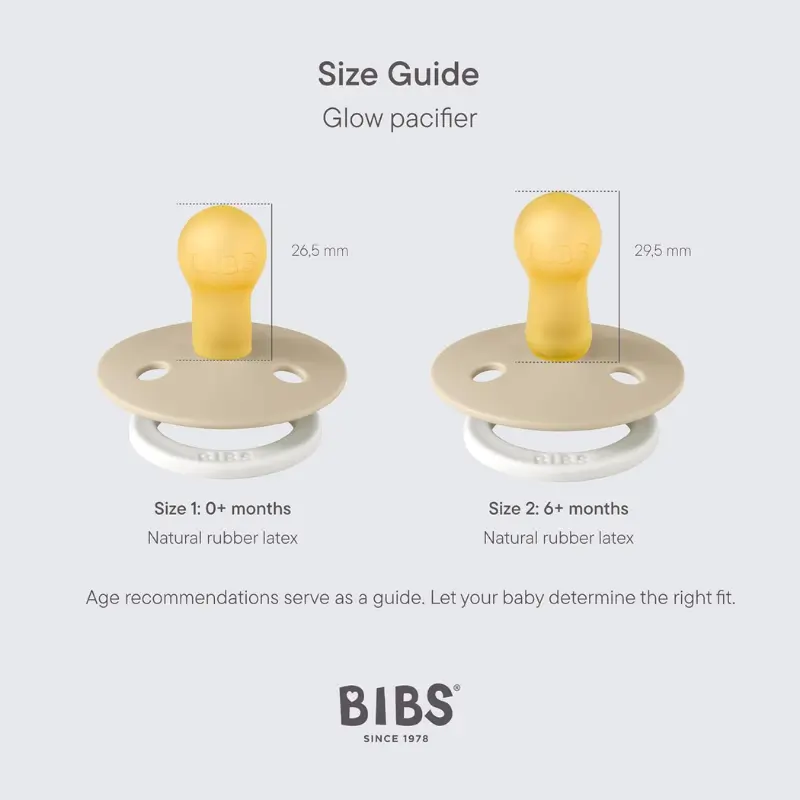 BIBS Lot de 2 Sucettes Rondes Nuit - Sage/Cloud