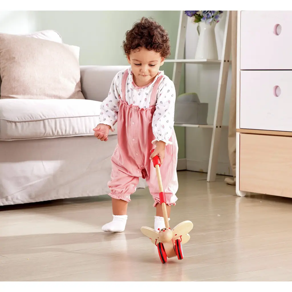 Hape Papillon à pousser
